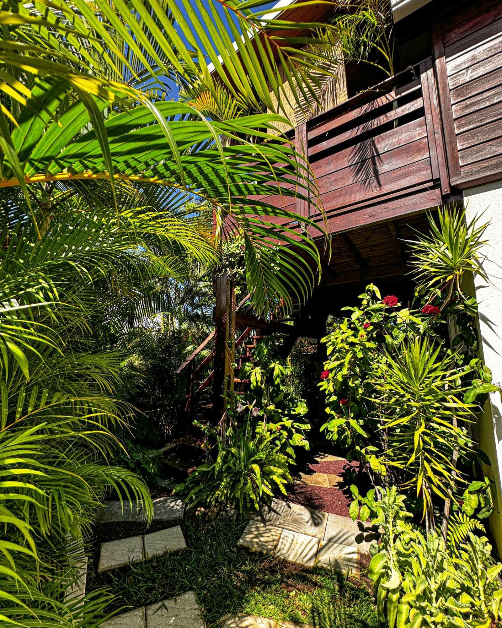 Ferienwohnung P'Ti Coin Zen Saint-Gilles-les-Bains Exterior foto